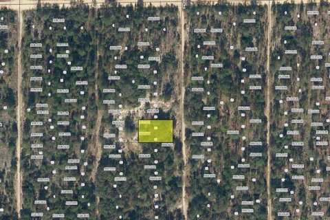 Land in Interlachen, Florida № 2213033