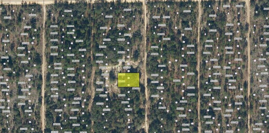 Land in Interlachen, Florida № 2213033