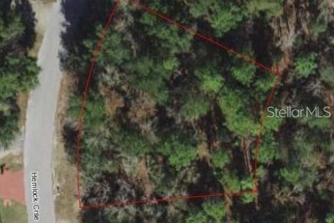 Land in Ocala, Florida № 2161085