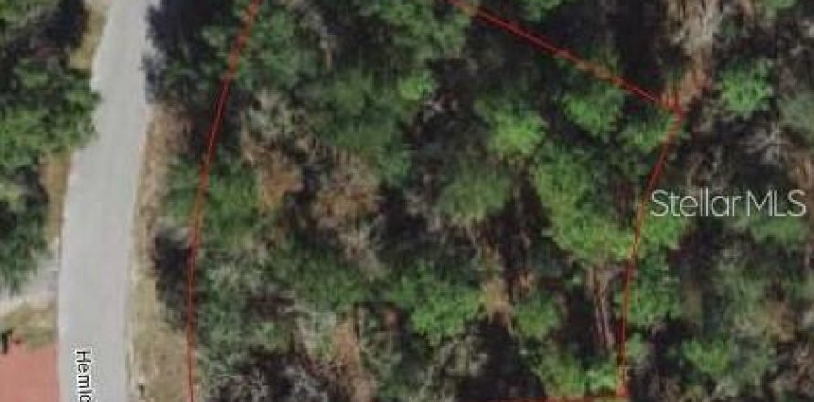 Land in Ocala, Florida № 2161085