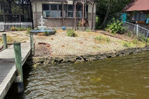 Terreno en venta en Gibsonton, Florida № 1716560 - foto 11