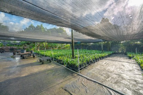 Propiedad comercial en venta en Homestead, Florida № 2154347 - foto 28