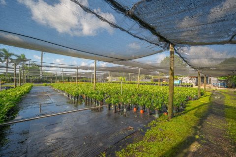 Propiedad comercial en venta en Homestead, Florida № 2154347 - foto 30