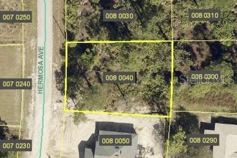 Land in Lehigh Acres, Florida № 1437856 - photo 1
