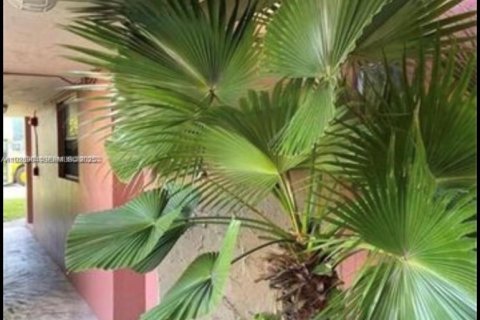 Apartamento en alquiler en Miami, Florida, 2 dormitorios, 110.93 m2 № 1987859 - foto 13