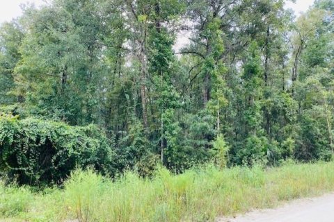 Land in Old Town, Florida № 1555351 - photo 1