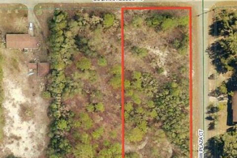 Land in Dunnellon, Florida № 2160979 - photo 4