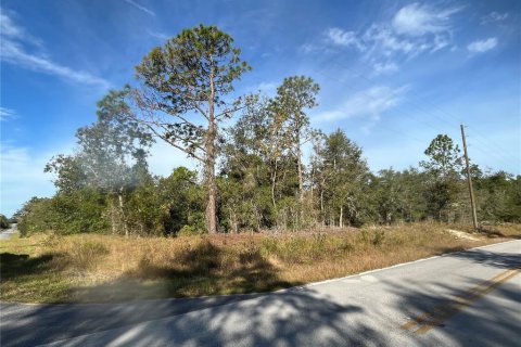 Land in Dunnellon, Florida № 2160979