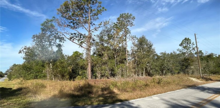 Land in Dunnellon, Florida № 2160979