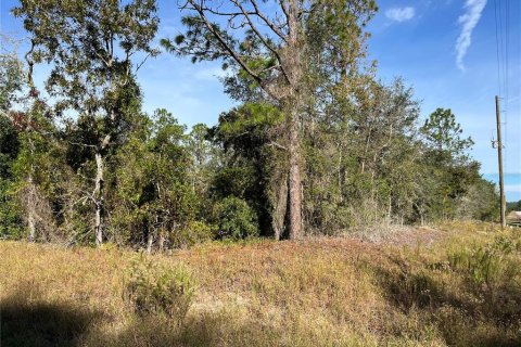 Land in Dunnellon, Florida № 2160979 - photo 2