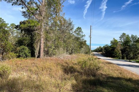 Land in Dunnellon, Florida № 2160979 - photo 3