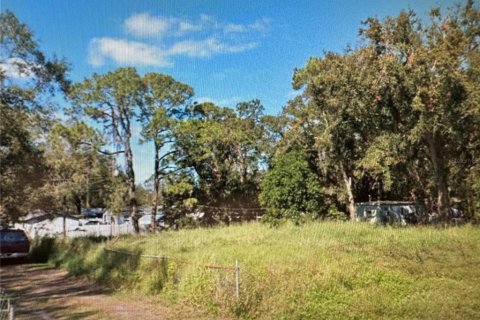 Land in Auburndale, Florida № 1826488 - photo 1
