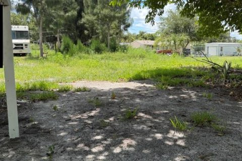 Land in Punta Gorda, Florida № 2212310