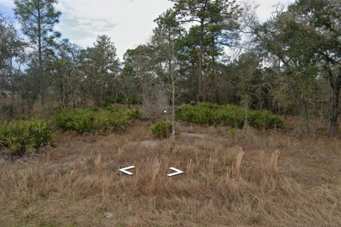 Terreno en Brooksville, Florida № 2210810
