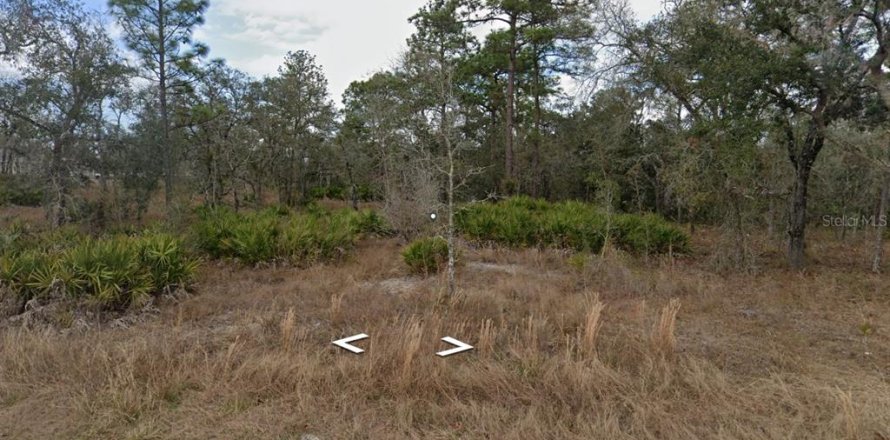 Terrain à Brooksville, Floride № 2210810