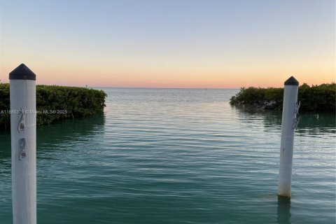 Купить виллу или дом в Исламорада, Вилладж оф Айлендс, Флорида 2 спальни, 127.83м2, № 1929755 - фото 27