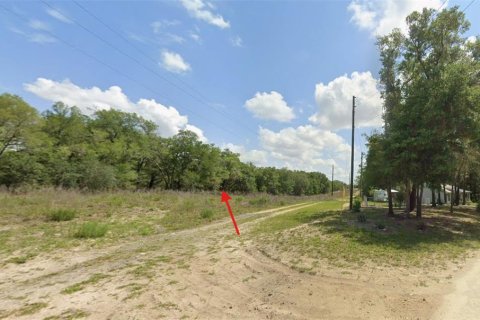 Land in Dunnellon, Florida № 2158755