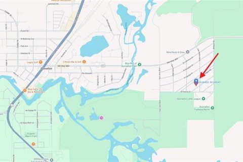 Land in Dunnellon, Florida № 2158755 - photo 2