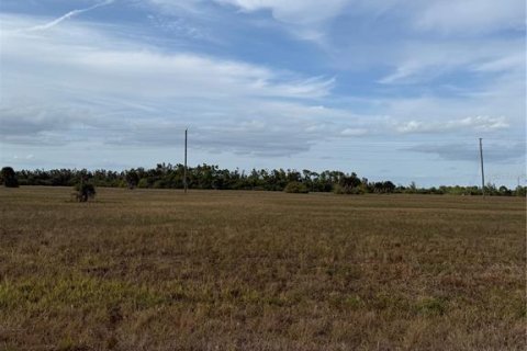 Land in Placida, Florida № 2163541 - photo 4