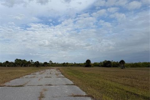 Land in Placida, Florida № 2163541 - photo 3