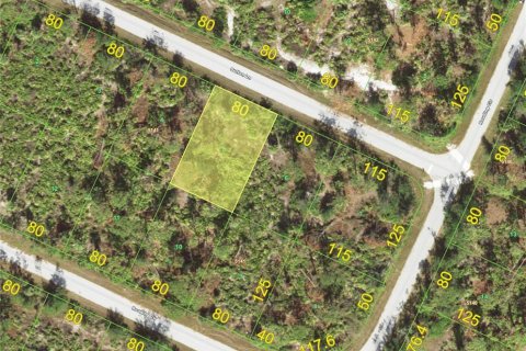 Land in Port Charlotte, Florida № 2164779