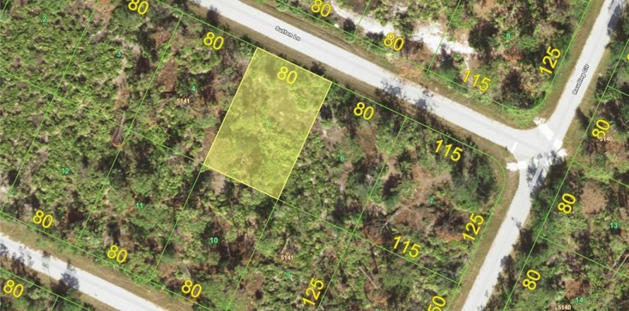 Land in Port Charlotte, Florida № 2164779