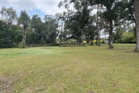 Terrain à vendre à Ocala, Floride № 1836930 - photo 2