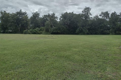 Terrain à vendre à Ocala, Floride № 1836930 - photo 3