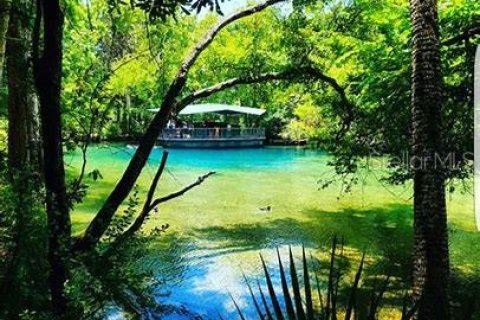 Купить виллу или дом в Ситрэс-Спрингс, Флорида 3 комнаты, 163.04м2, № 1531716 - фото 6