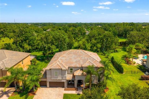 Villa ou maison à vendre à Lutz, Floride: 7 chambres, 474.36 m2 № 1908665 - photo 3