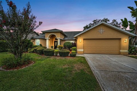 House in Tarpon Springs, Florida 3 bedrooms, 169.83 sq.m. № 1910716 - photo 1
