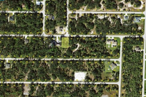 Land in Port Charlotte, Florida № 2162242 - photo 2