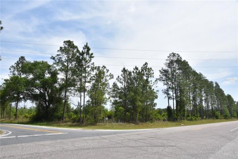 Terreno en venta en Gainesville, Florida № 1649764 - foto 14