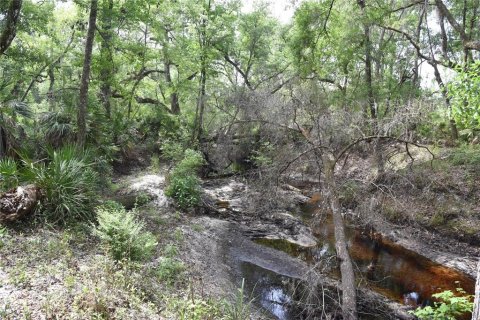 Terreno en venta en Gainesville, Florida № 1649764 - foto 22