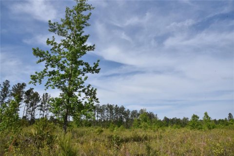 Terreno en venta en Gainesville, Florida № 1649764 - foto 6