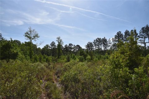 Terreno en venta en Gainesville, Florida № 1649764 - foto 18