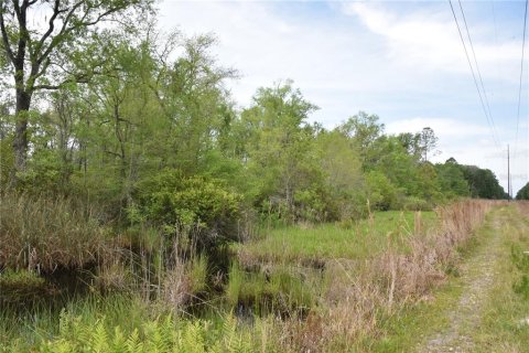 Terrain à vendre à Gainesville, Floride № 1649764 - photo 23