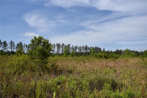 Terreno en venta en Gainesville, Florida № 1649764 - foto 19