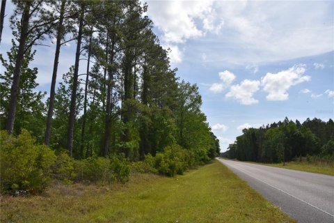 Land in Gainesville, Florida № 1649764 - photo 12