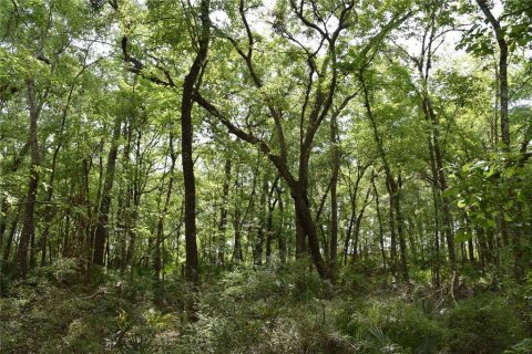 Terreno en venta en Gainesville, Florida № 1649764 - foto 11
