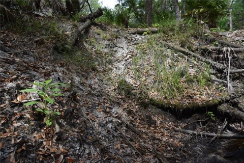 Terreno en venta en Gainesville, Florida № 1649764 - foto 21