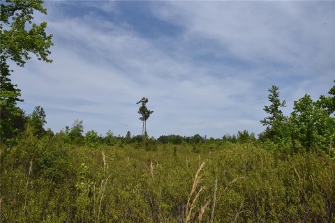 Купить земельный участок в Гейнсвилл, Флорида № 1649764 - фото 17