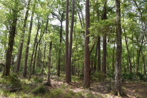 Terreno en venta en Gainesville, Florida № 1649764 - foto 28