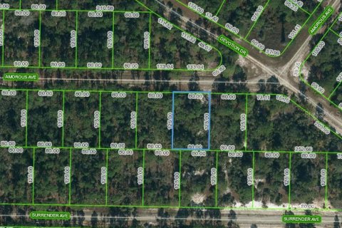 Land in Lake Placid, Florida № 2207835