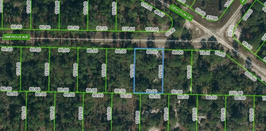 Land in Lake Placid, Florida № 2207835