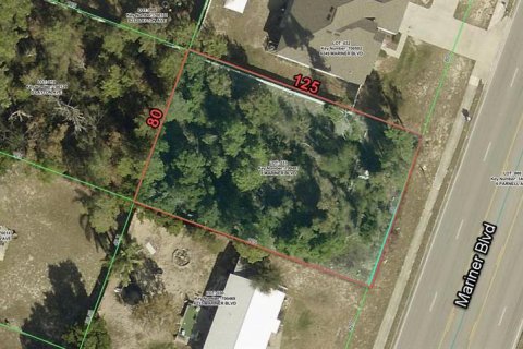 Land in Spring Hill, Florida № 2162463 - photo 2