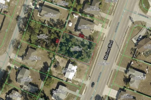 Land in Spring Hill, Florida № 2162463 - photo 13
