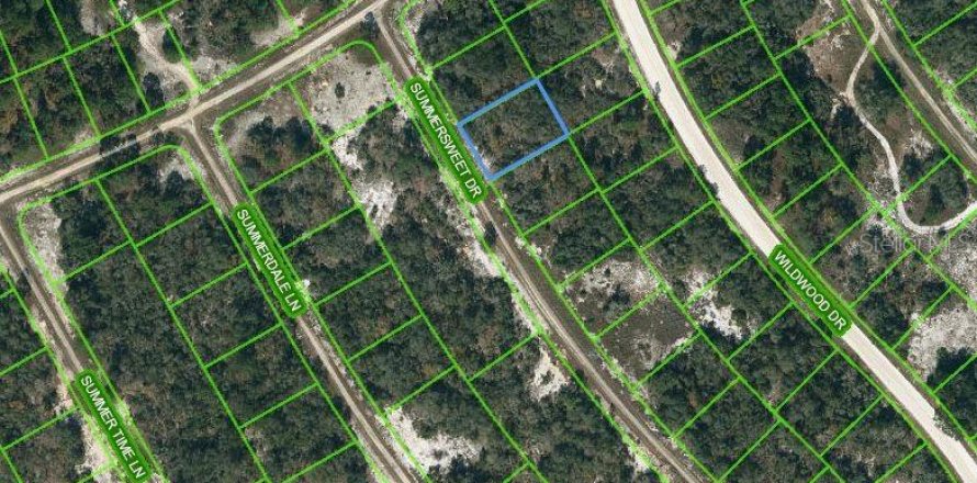 Terreno en Lake Placid, Florida № 2213040