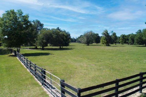 Commercial property in Ocala, Florida № 2153143 - photo 24