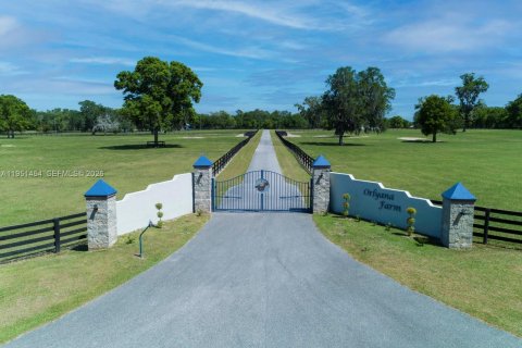 Commercial property in Ocala, Florida № 2153143 - photo 3